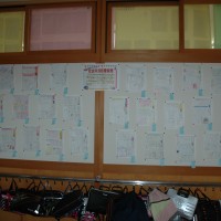 DSC_0003 (2)