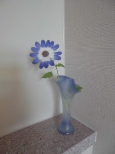 CIMG7148